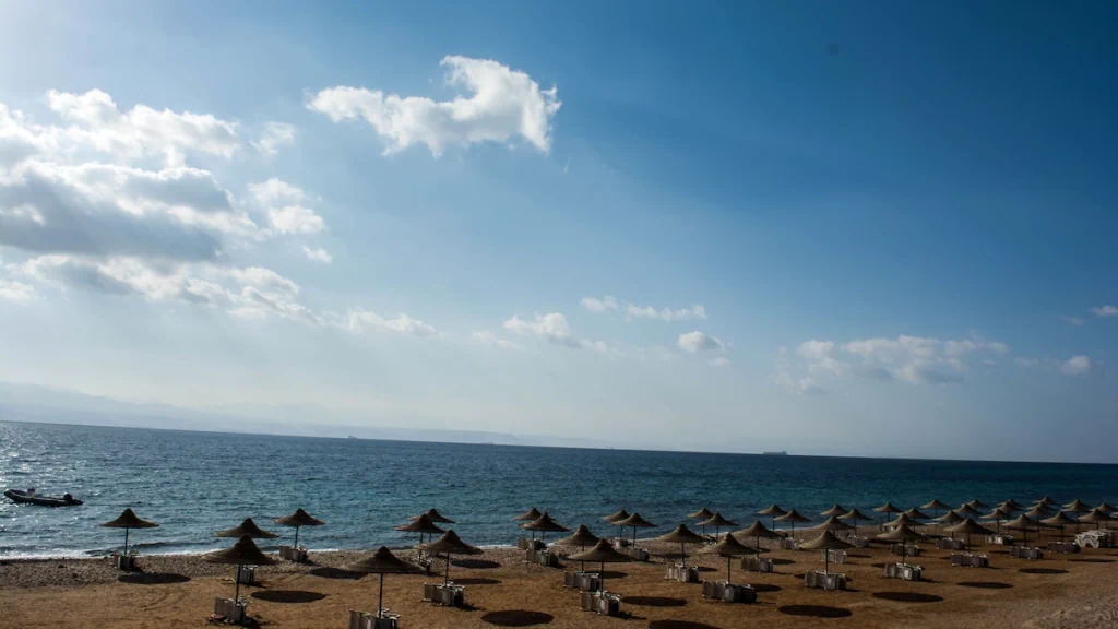 الفندق توليب طابا ريزورت آند سبا - طابا